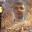 ANDREY 1711 ANDREY 1711